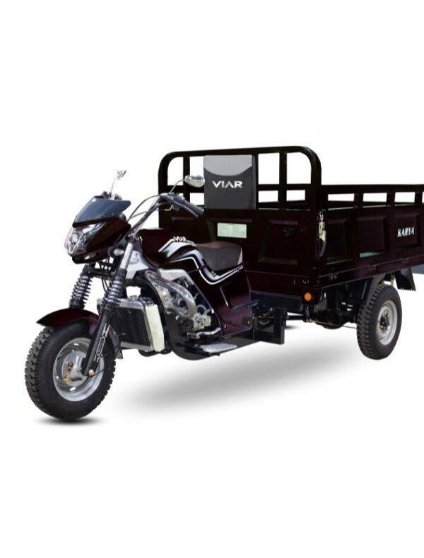 VIAR Karya 300